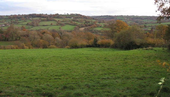 Ridgewood from Combe Hill in the Autumn
