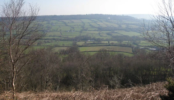 Looking south from near Culmstock Beacon