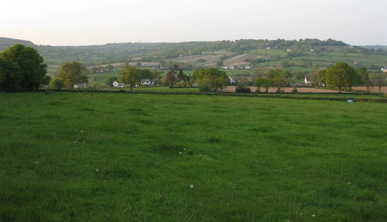 Apple blossom from Conigar