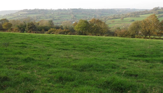 Combe Hill from Ridgewood