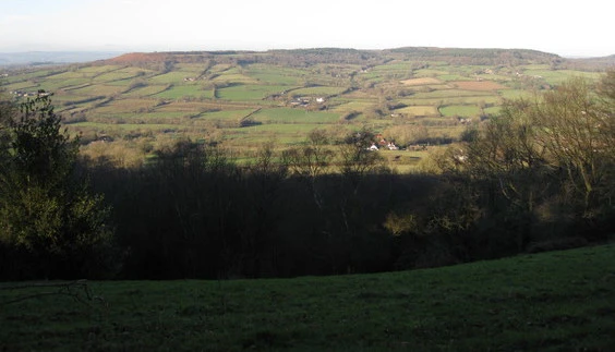 Culm Davy from above Owleycombe Common