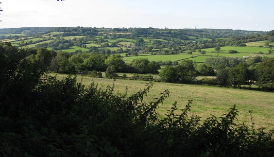 Combe Hill from the Ridgewood road