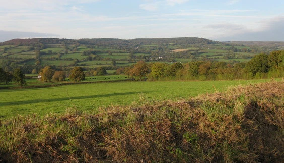 Culmstock Beacon and Culm Davy from the south