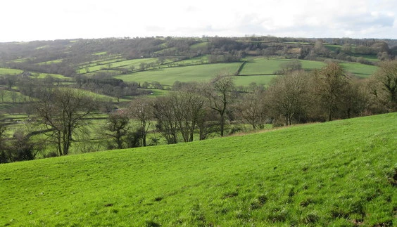 Burrow Hill from Ridgewood
