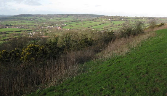 Millhayes and Culm Davy from Ridgewood