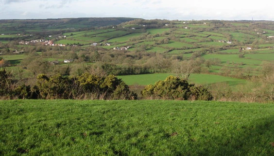 Millhayes and Penn Cross from Ridgewood