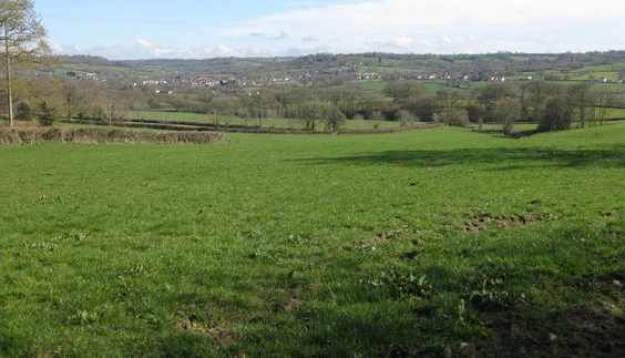 Hemyock from Culm Davy