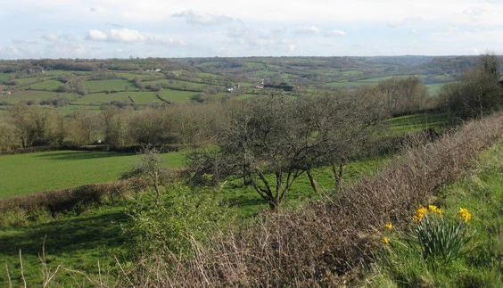 Ridgewood and Lemon's Hill from Coombe Hill